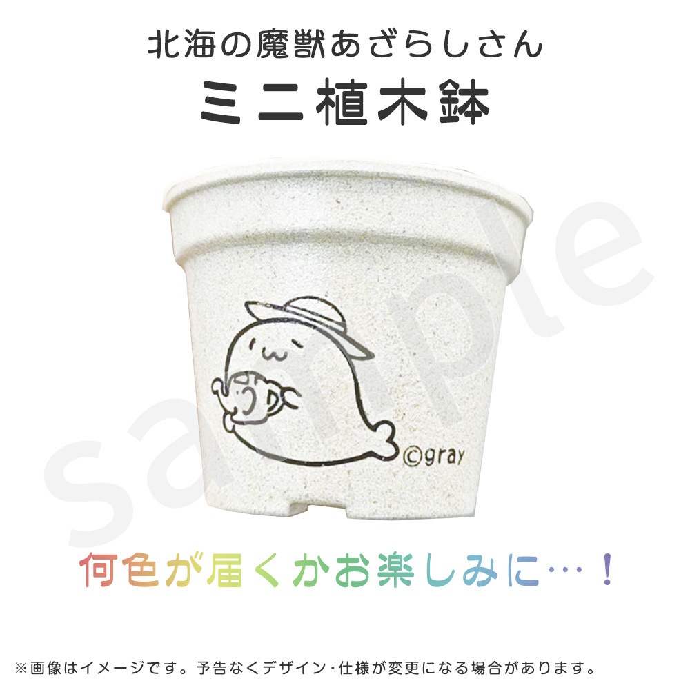 ミニ植木鉢 （北海の魔獣あざらしさん）
