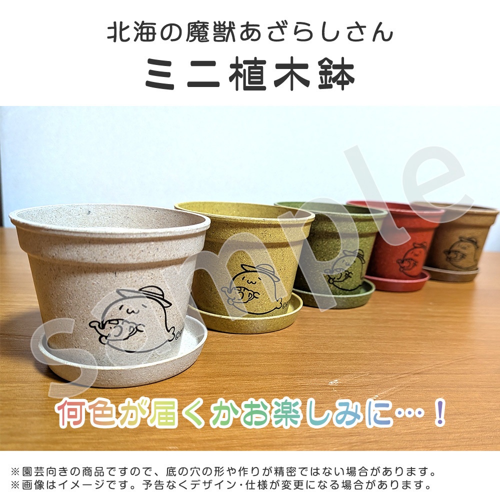 ミニ植木鉢 (北海の魔獣あざらしさん)