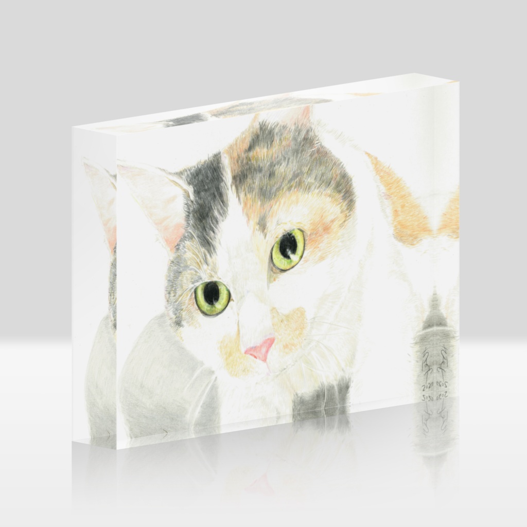 色鉛筆画おめめぱっちり三毛猫ちゃん ちはや工房 Booth