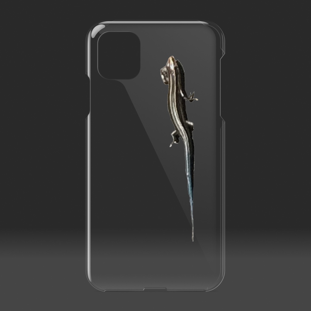 トカゲがぺたりと