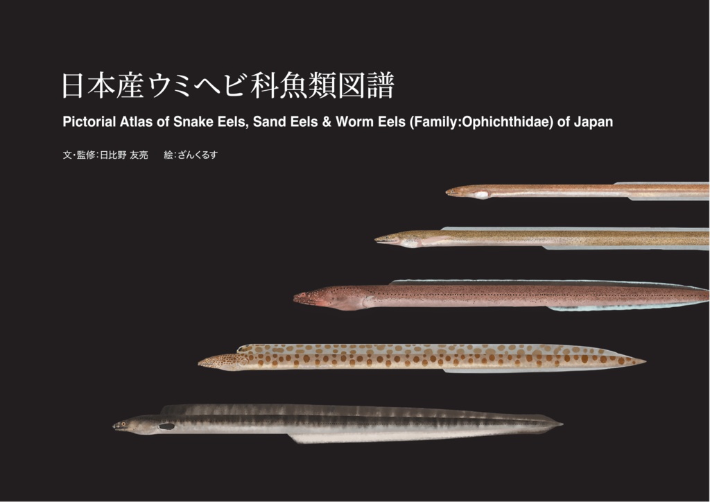 日本産ウミヘビ科魚類図譜　Pictorial Atlas of Snake Eels, Sand Eels & Worm Eels (Family: Ophichthidae) of Japan
