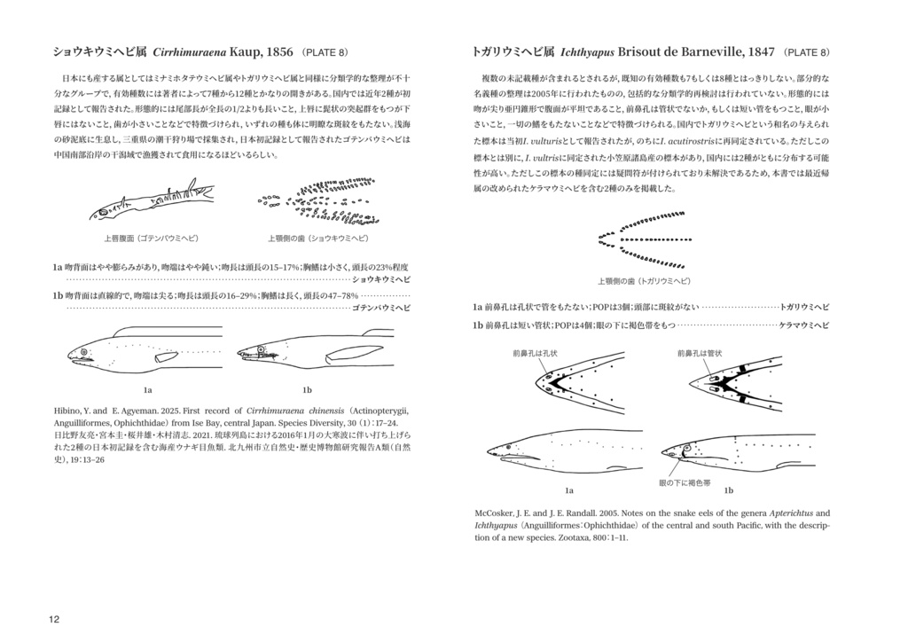日本産ウミヘビ科魚類図譜 Pictorial Atlas of Snake Eels, Sand Eels & Worm Eels (Family: Ophichthidae) of Japan