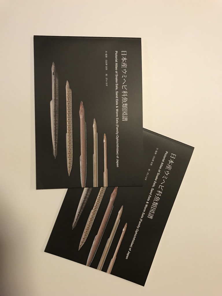 日本産ウミヘビ科魚類図譜 Pictorial Atlas of Snake Eels, Sand Eels & Worm Eels (Family: Ophichthidae) of Japan