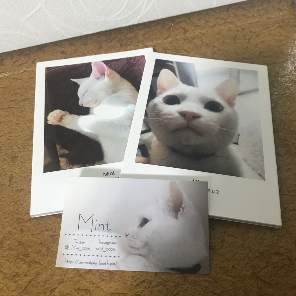 ミント写真集 可愛いお顔セット