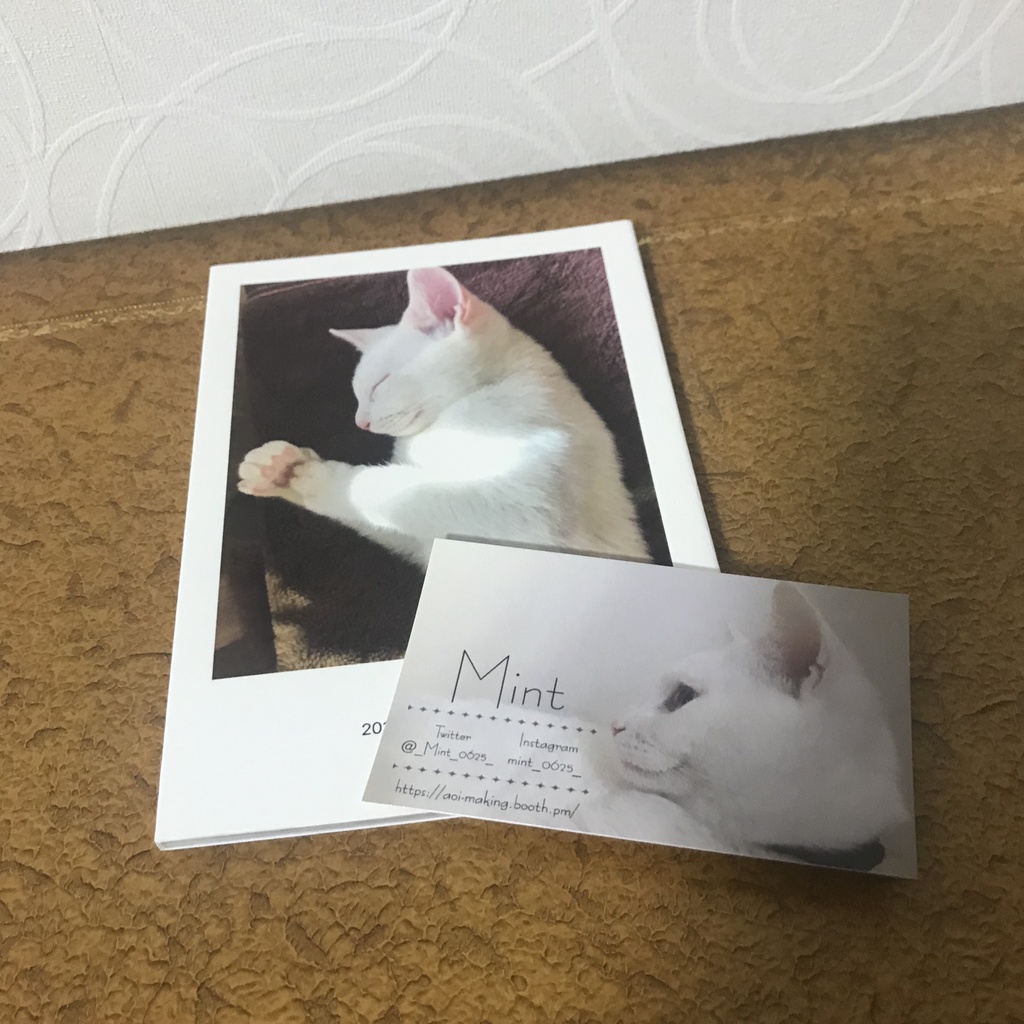 ミント写真集 可愛いお顔ver①