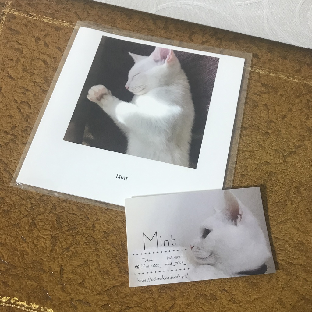 ミント写真集 お安いシリーズ⑤