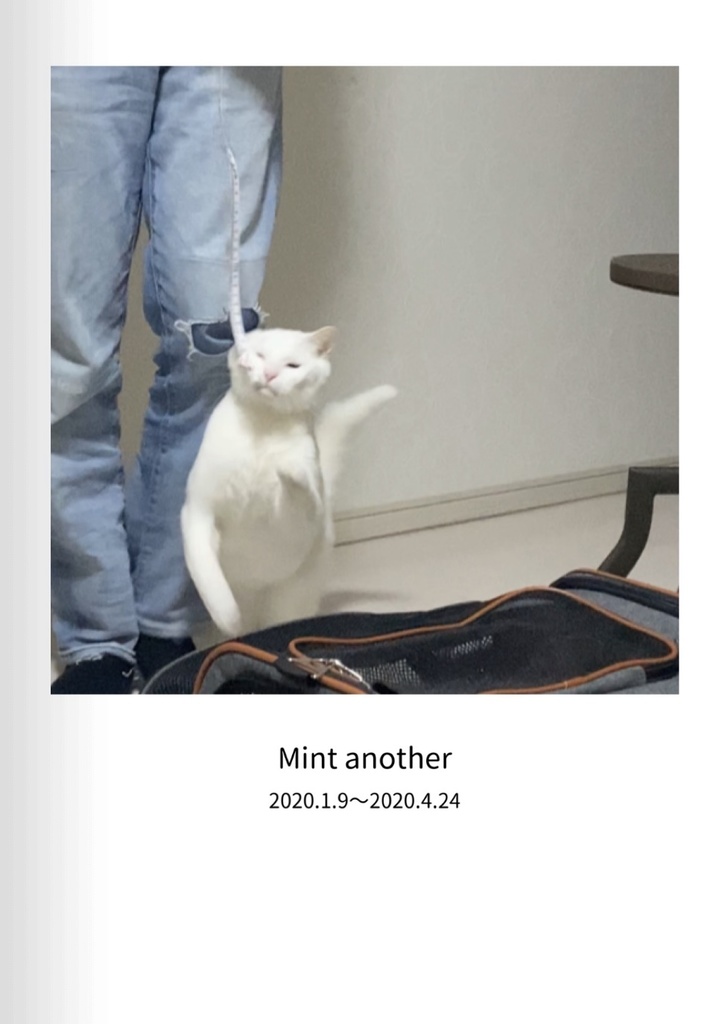 ミント写真集　おぶすver⑤