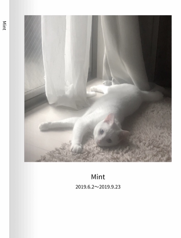 ミント写真集 可愛いver③