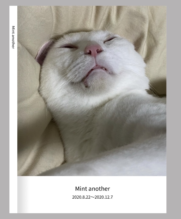 ミント写真集　おぶすver⑦