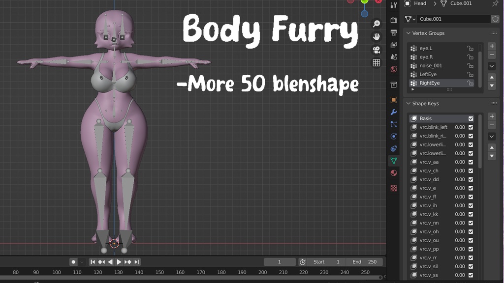 BODY FURRY FBX (VRCHAT) (licence commercial)