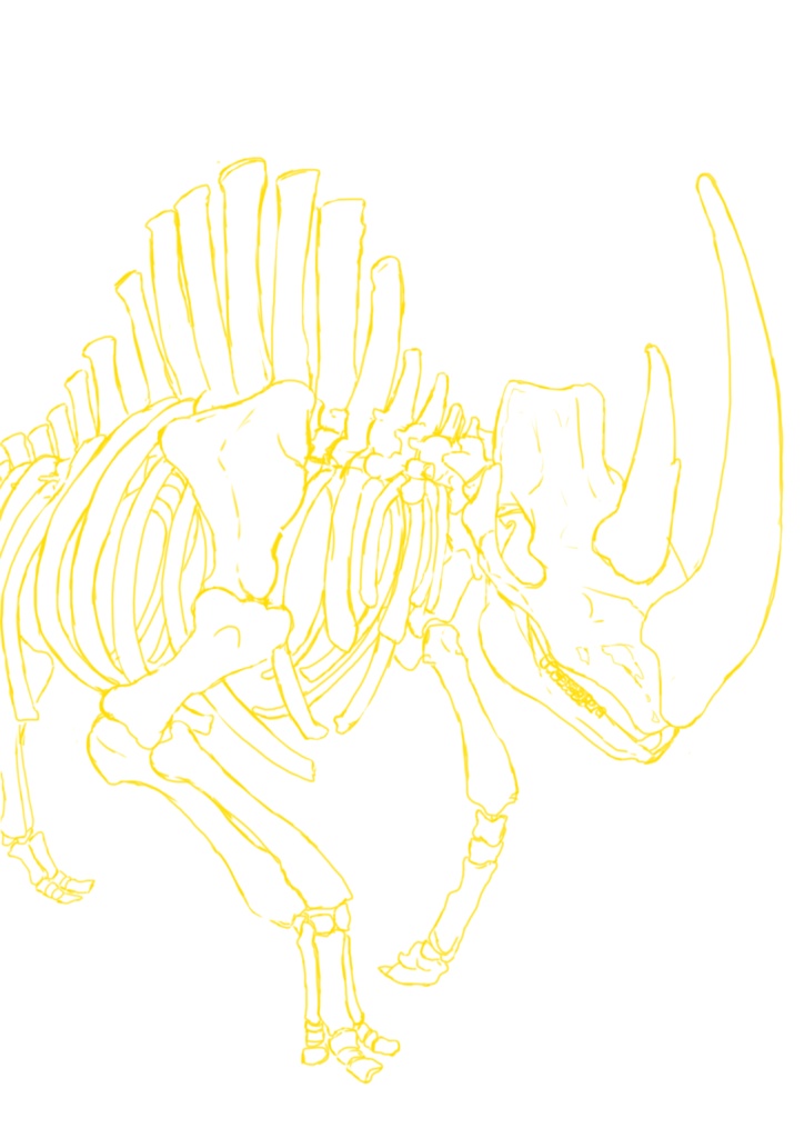 チベットケサイTシャツ