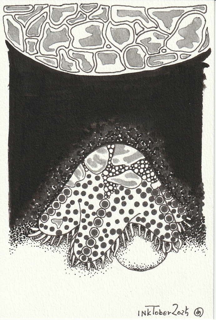 Inktober2025 原画 7 【ヒトデ】