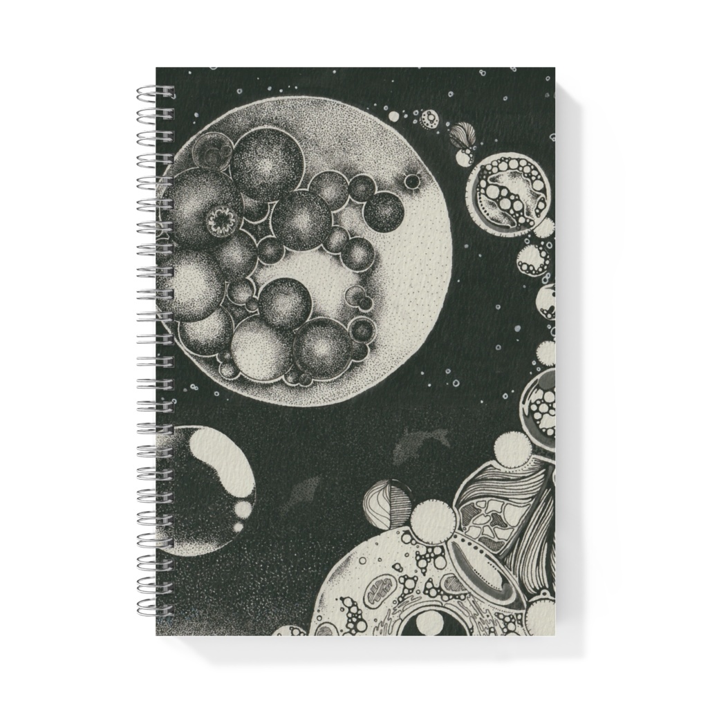 ＠ リングノート