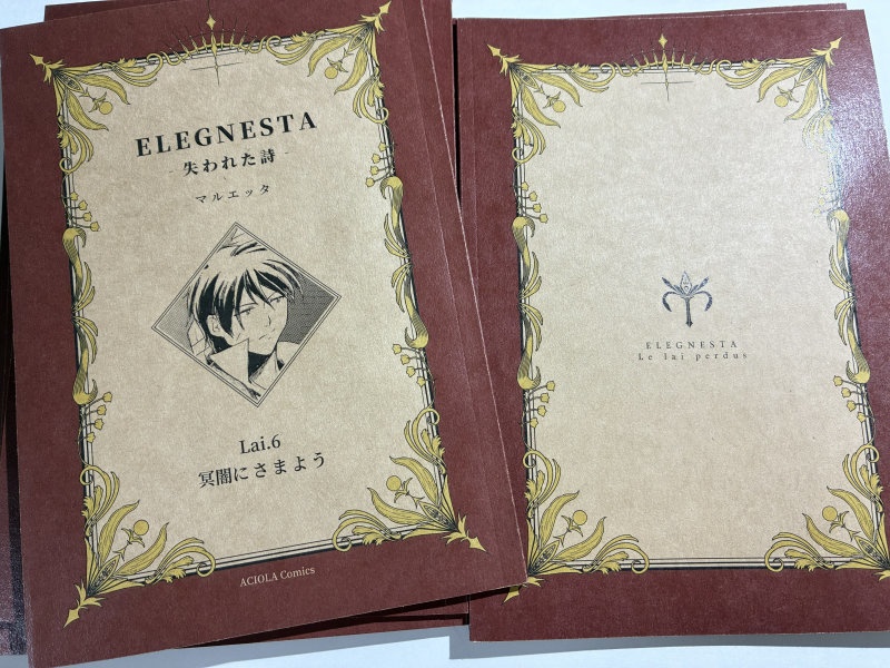 ELEGNESTA‐失われた詩‐ Lai.6「冥闇にさまよう」