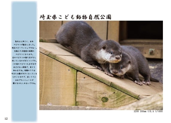 かわうそのほん