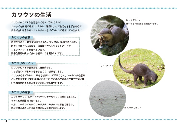 かわうそのほん