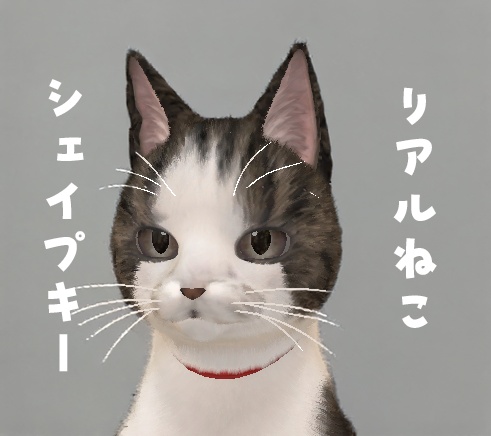 リアルねこシェイプキー