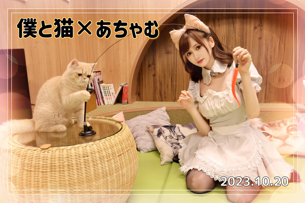 僕と猫×あちゃむフルコンプセット