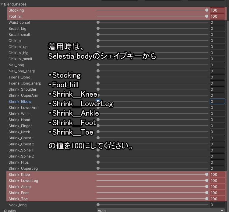 ハイヒールブーツ【セレスティア対応】