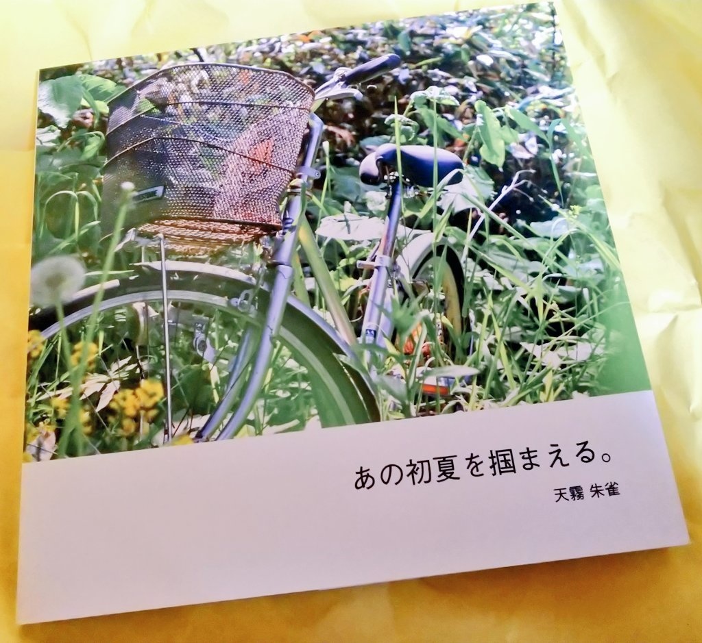 写真集「あの初夏を掴まえる。」140字散文