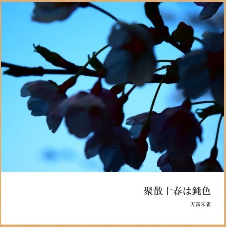 写真集「聚散十春は鈍色」140字散文