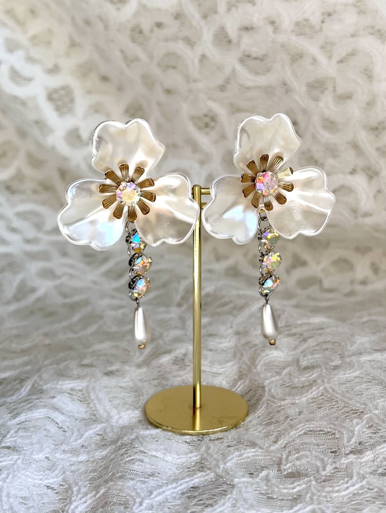 春の日差し☀️