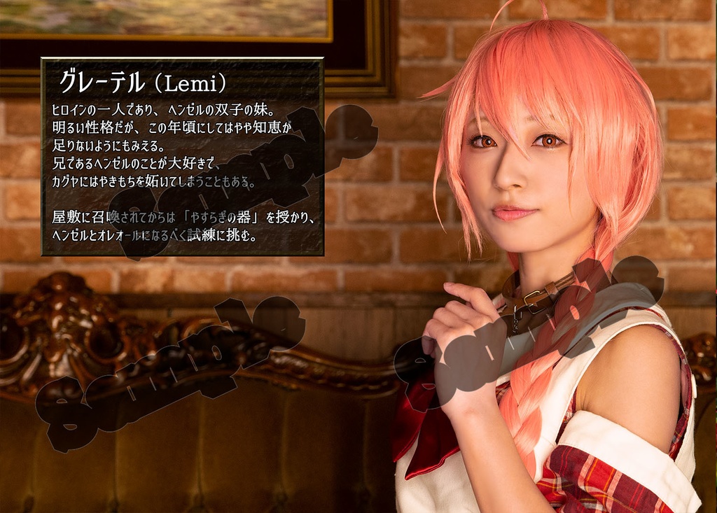 プリンセスナイト 公式写真集