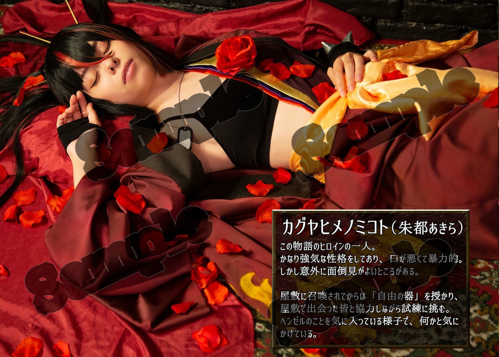 プリンセスナイト 公式写真集