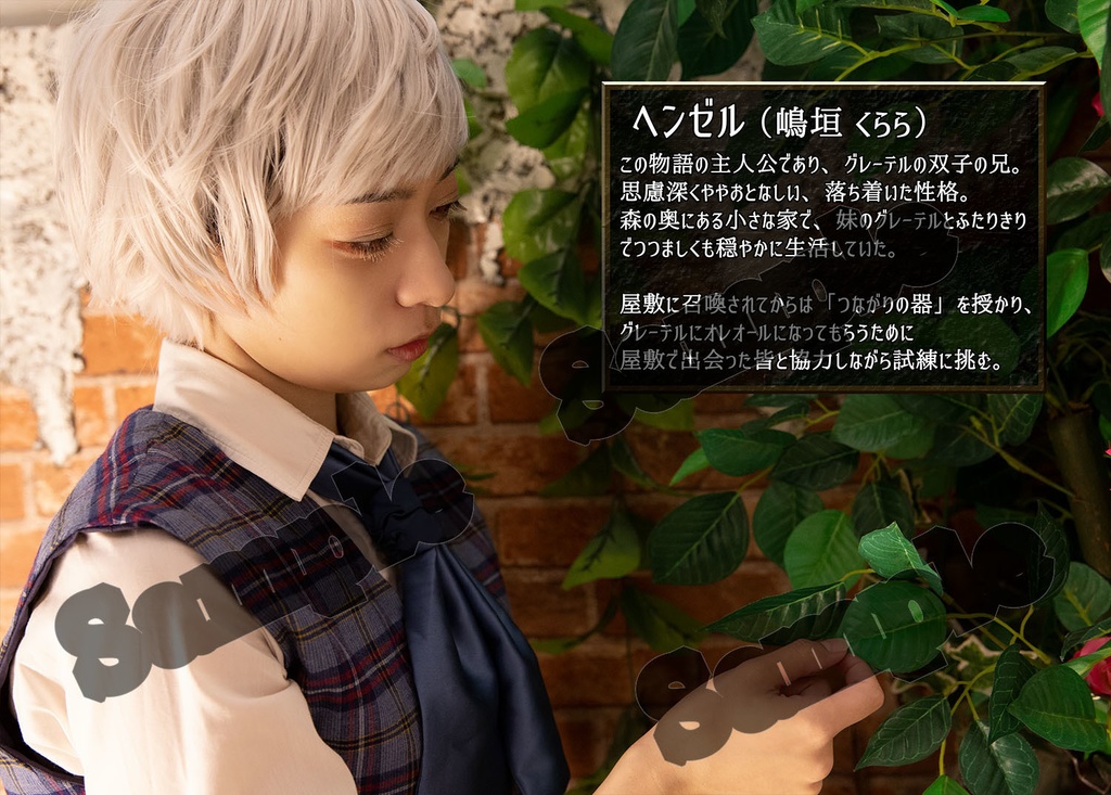 プリンセスナイト 公式写真集