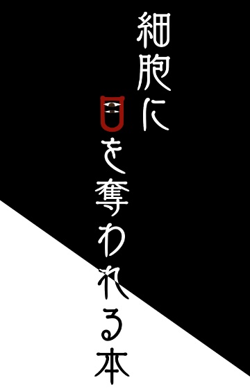 目を奪われる