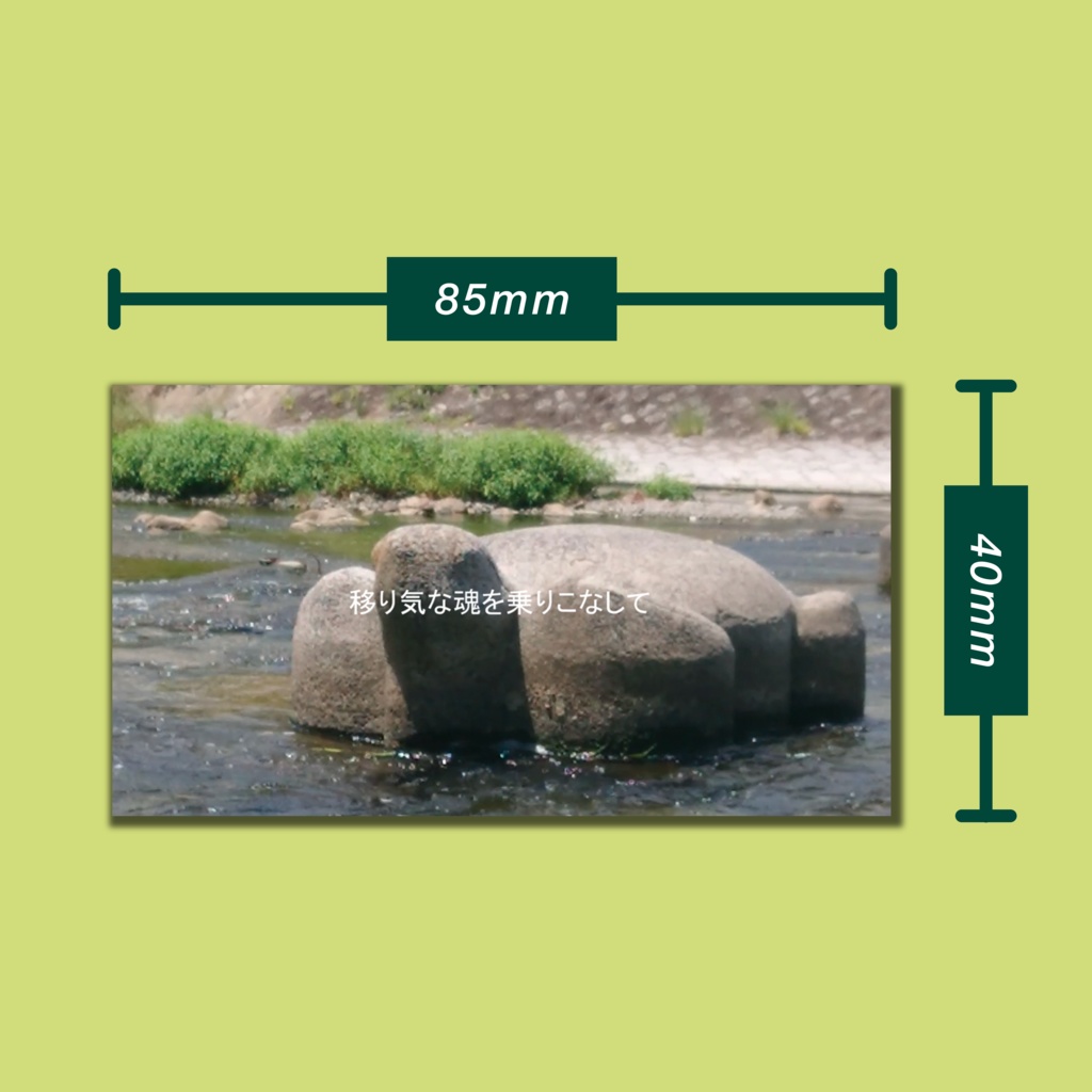 コサメガ 1st Album 風のような声のような(CD)