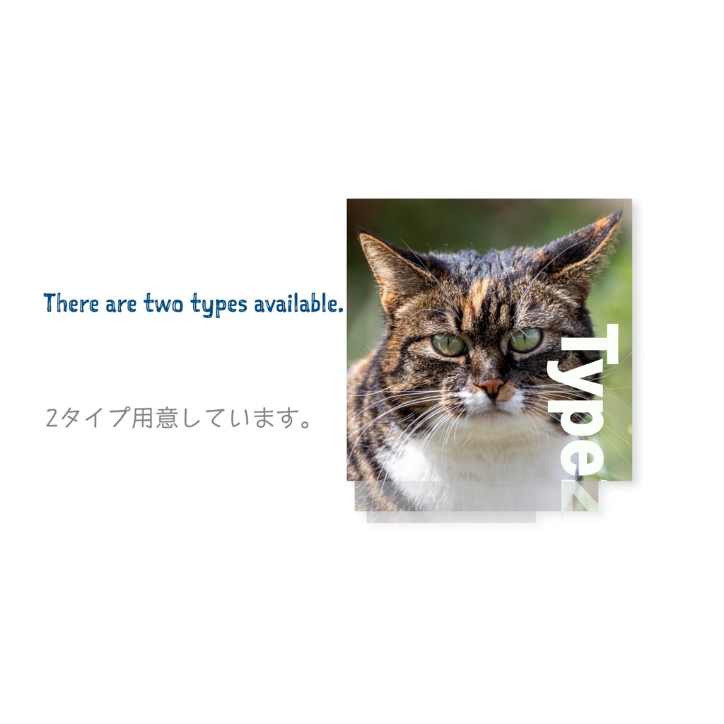 【Premiere Pro】スライドフレーム&タイトル文字 2種類(.mogrt / 色調変更・静止機能付 / 商用OK)