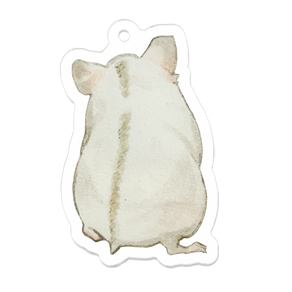 イエローラインジャンガリアンの小虎ちゃん