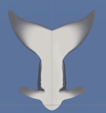 鼎式 鯨尾 whale-tail「マヌカ」,「rurune」ルルネ対応 physbone設定済み