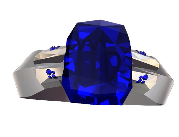 【VRC想定指輪モデル】十二星座×誕生石 zodiac-gem-ring