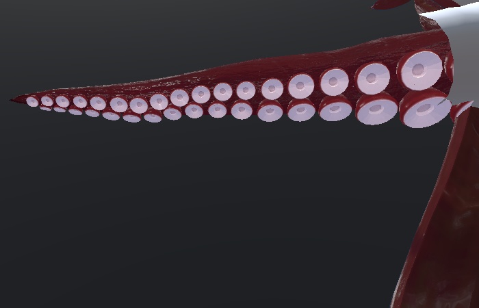 蛸腕【義肢orサブアーム想定】&蛸脚【スキュラ改変用】多分全アバター対応