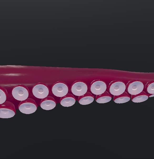 蛸腕【義肢orサブアーム想定】&蛸脚【スキュラ改変用】多分全アバター対応