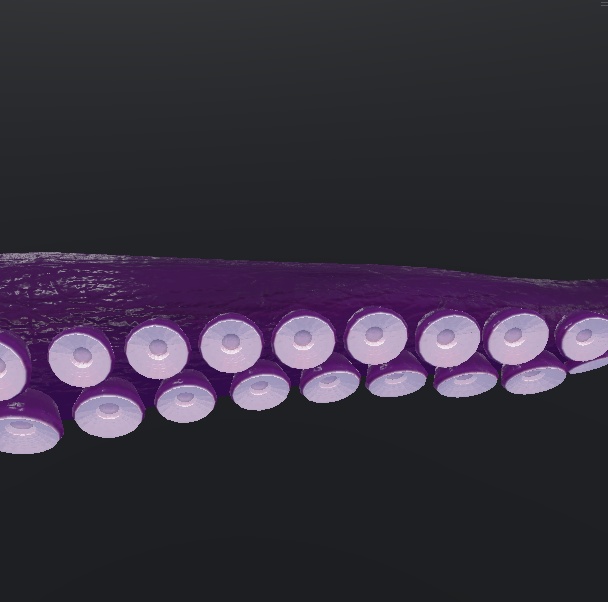 蛸腕【義肢orサブアーム想定】&蛸脚【スキュラ改変用】多分全アバター対応