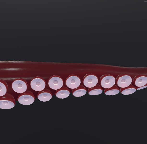 蛸腕【義肢orサブアーム想定】&蛸脚【スキュラ改変用】多分全アバター対応