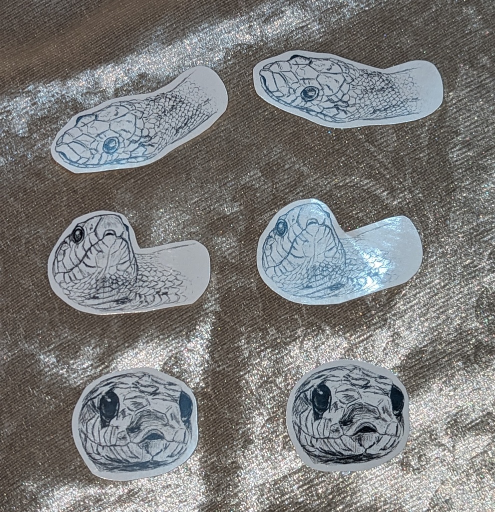 コーンスネークの鉛筆画ステッカー