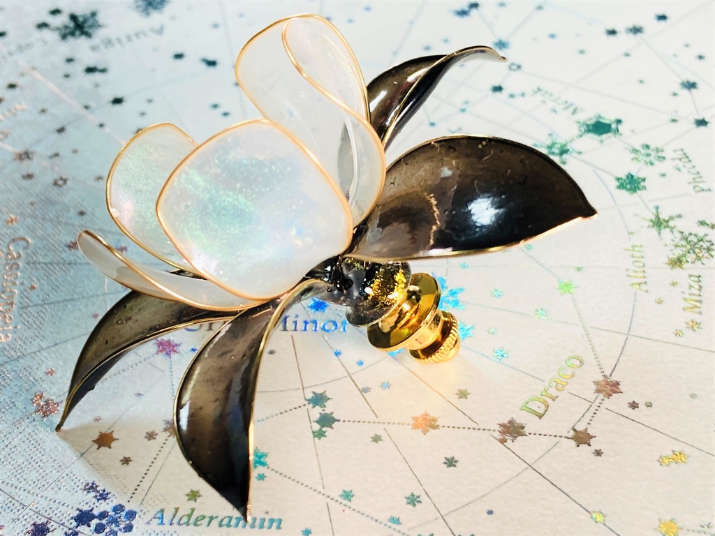 黒のオダマキ タックピン