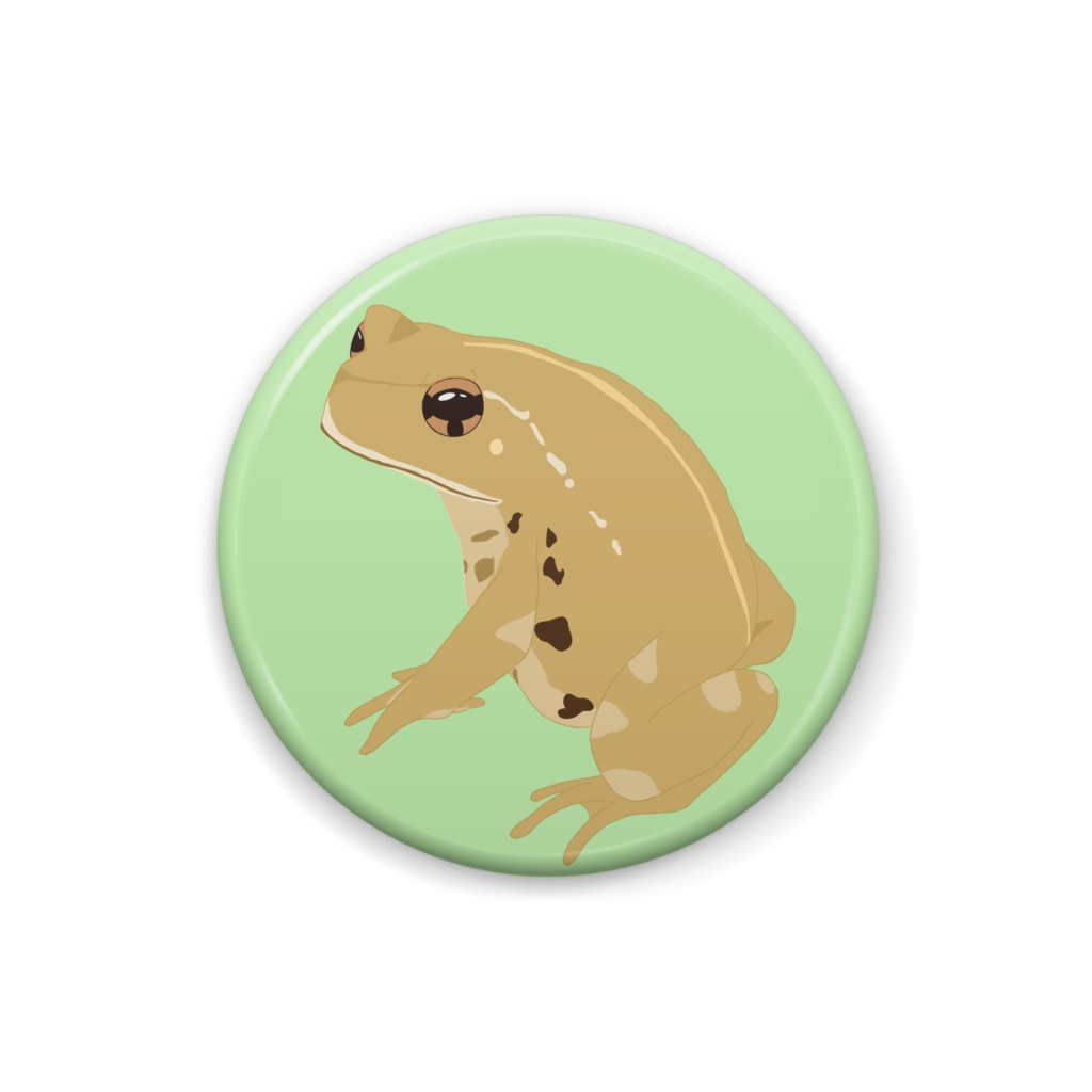 ミヤコヒキガエル