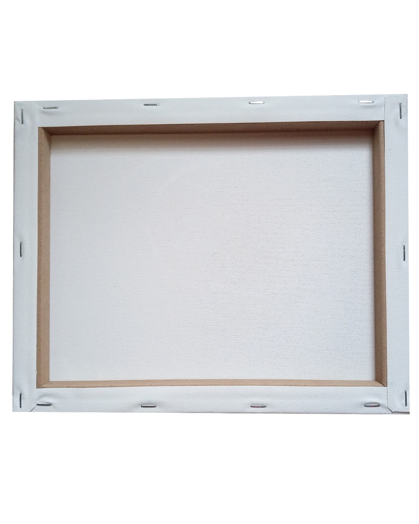 つみねこ原画【星に願いを】