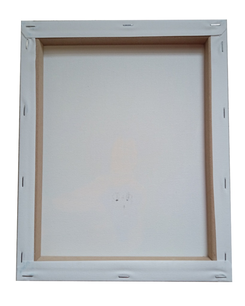 つみねこ原画【妖精の森】