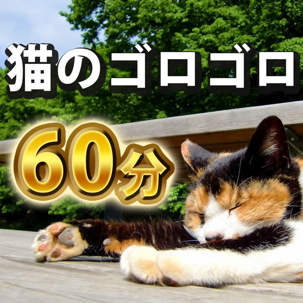 猫のゴロゴロ音60分【効果音】