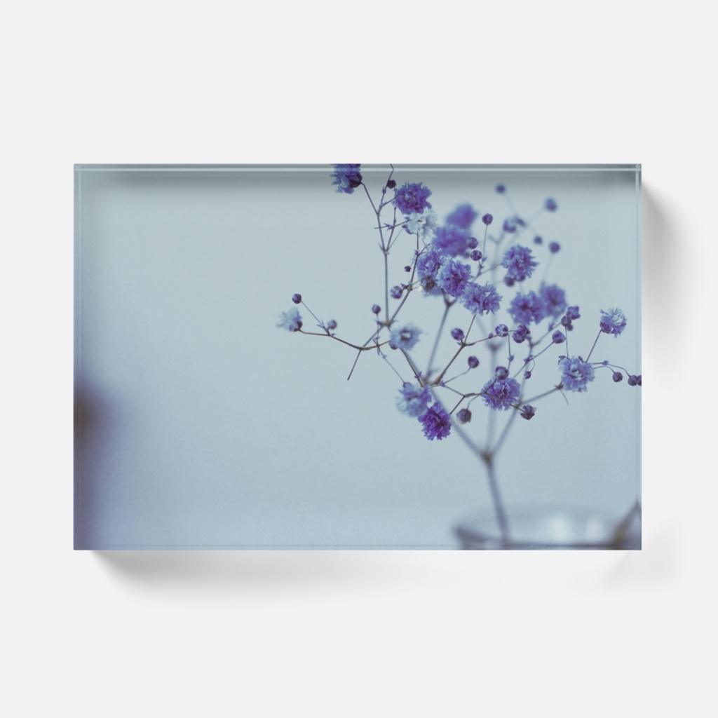 青いかすみ草のアクリルブロック