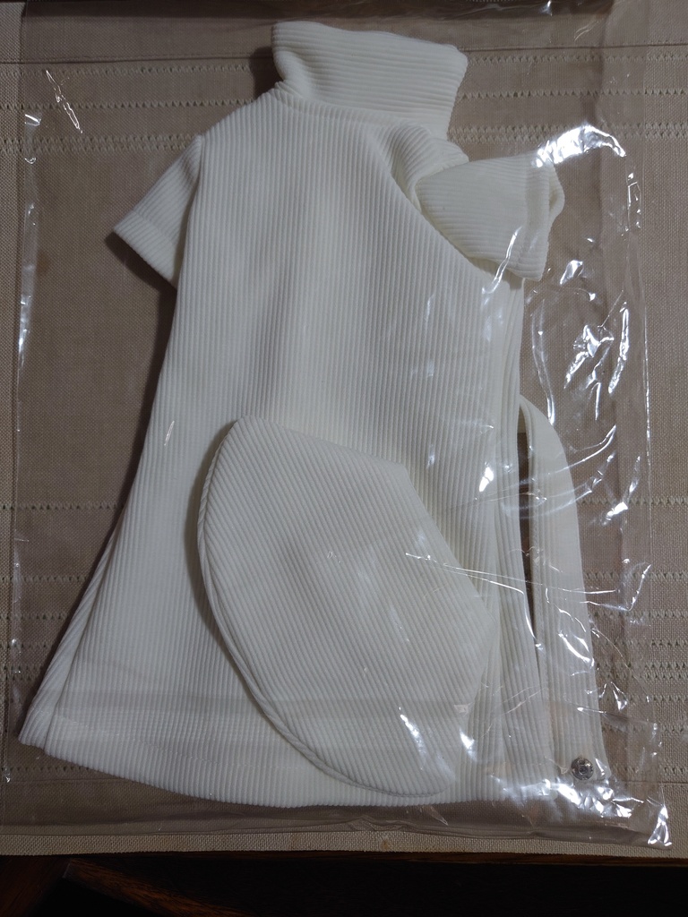 ワンピースナース服 for DD(60cm級汎用)