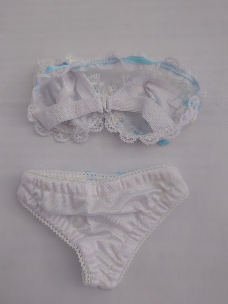 DDdy専用 カラー刺繍入り白レースのランジェリー