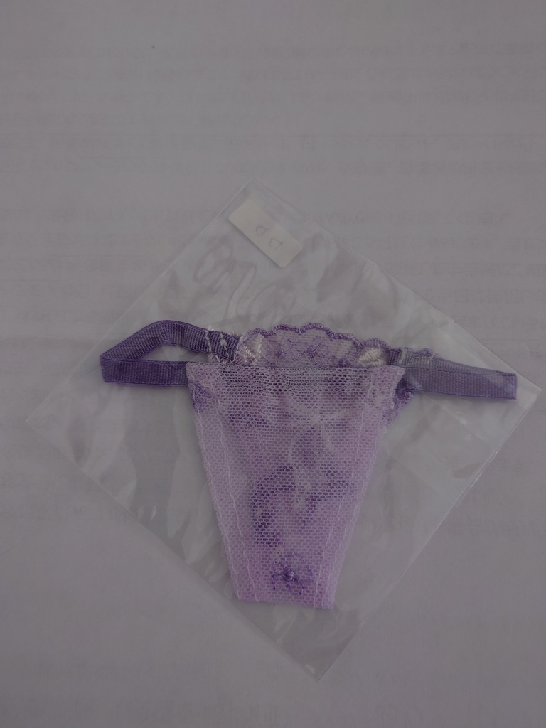 カラー刺繍入りレースのランジェリー