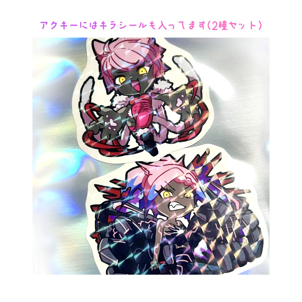 闘士姉妹アクキー